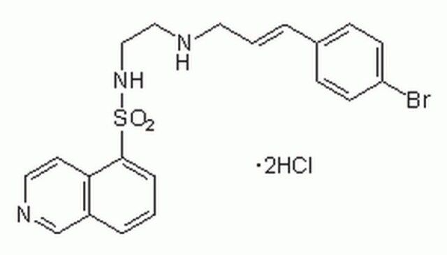 InSolution H-89, Dihydrochloride-Calbiochem