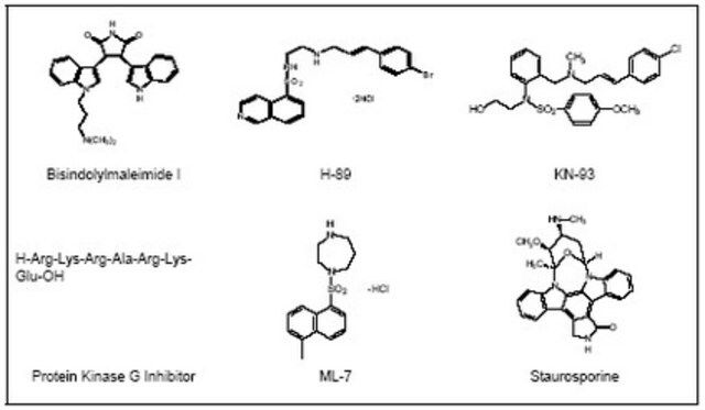 Serine/Threonine Kinase Inhibitor Set-Calbiochem