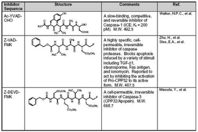 Caspase Inhibitor Set I-Calbiochem