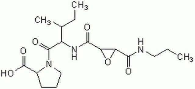 CA-074-Calbiochem