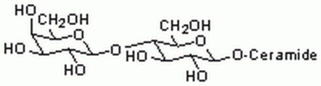 Lactosyl Ceramide, Bovine-CAS 4682-48-8-Calbiochem