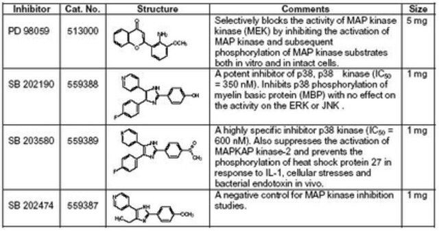 MAP Kinase Inhibitor Set I-Calbiochem