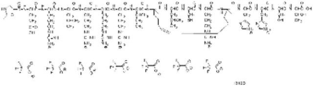 Notch Transcription Factor Inhibitor, SAHM1-Calbiochem