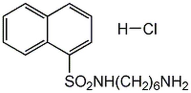 W-5, Hydrochloride-CAS 61714-25-8-Calbiochem