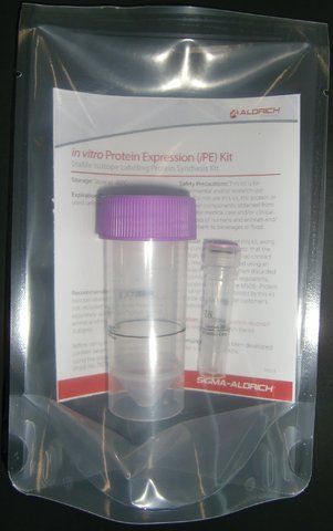 <i>In Vitro</i> Protein Expression (iPE) Kit II