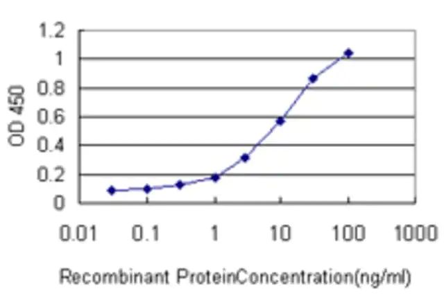 Monoclonal Anti-ZAP70 antibody produced in mouse