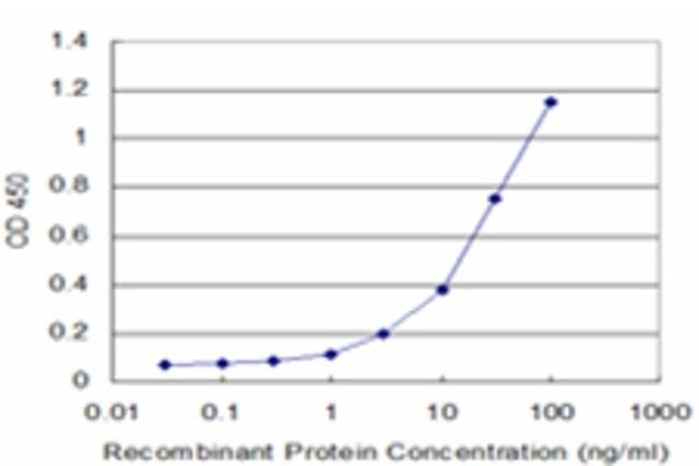 Monoclonal Anti-PLEKHM1 antibody produced in mouse