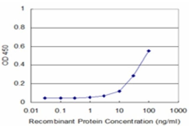 Monoclonal Anti-PLSCR1 antibody produced in mouse