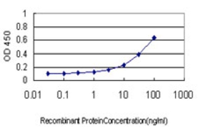 Monoclonal Anti-ARL14 antibody produced in mouse