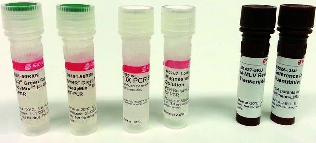 SYBR<sup>®</sup> Green Quantitative RT-qPCR Kit