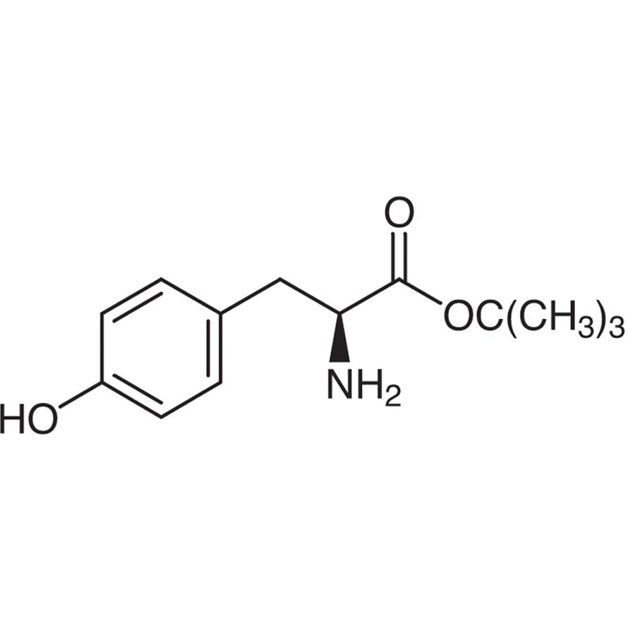 L-Tyrosine tert-Butyl Ester