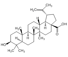 Betulinicacid, for identification, from Birch bark, NIFDC traceable