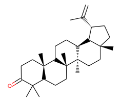 lupenone