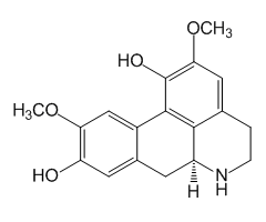 Norisoboldine