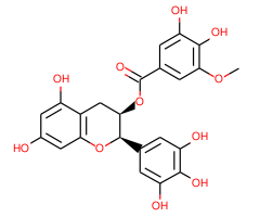 (-)-Epigallocatechin-3-(3''-O-methyl) gallate