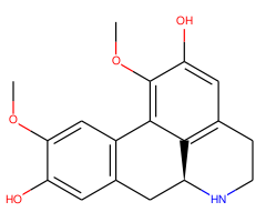 Norboldine