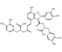 Salvianolic Acid B