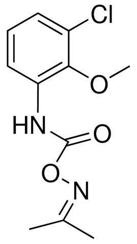 O-(N-(3-CHLORO-2-METHOXYPHENYL)CARBAMOYL)ACETONE OXIME