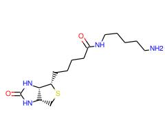 Biotin-C5-amine