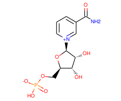 -Nicotinamide mononucleotide