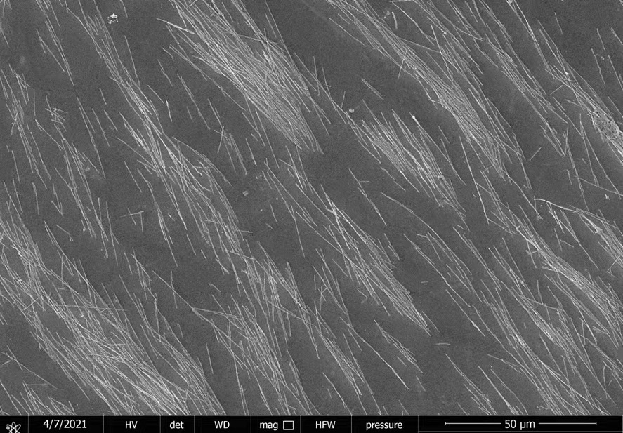 Iron oxide(II,III), magnetic nanoparticles solution, carboxyl-polyacrylamide functionalized, particle size:20-50 nm avg., 5 mg/ml in H2O