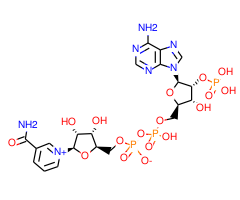 -Nicotinamide adenine dinucleotide phosphate hydrate