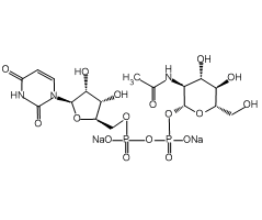 Uridine-5'-diphospho-N-acetylglucosamine sodium salt