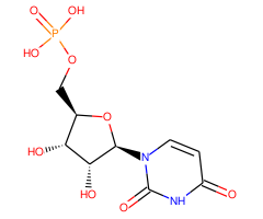 Uridine 5'-monophosphate