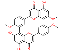 Sciadopitysin