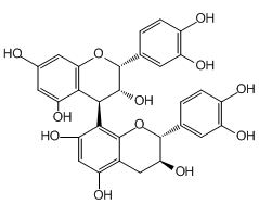 Procyanidin B1