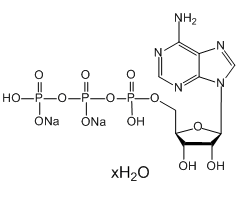 Adenosine 5'-triphosphate disodium salt hydrate