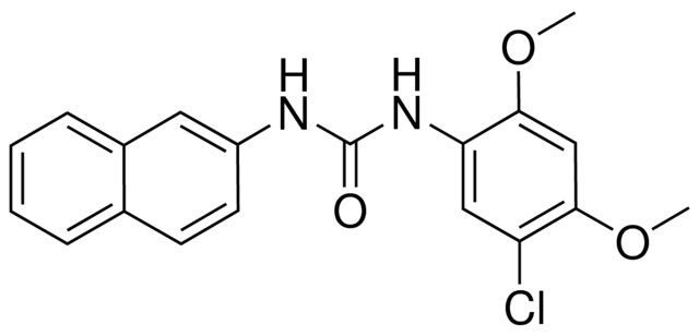 N-(5-CHLORO-2,4-DIMETHOXYPHENYL)-N'-(2-NAPHTHYL)UREA