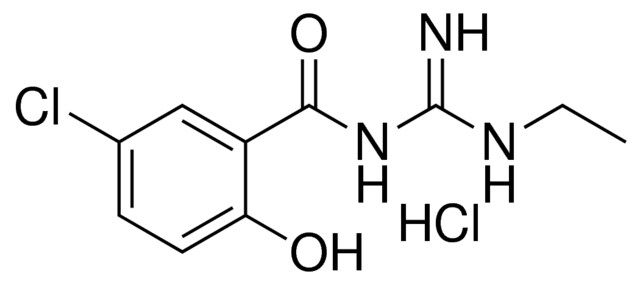 N-(5-CHLORO-2-HYDROXY-BENZOYL)-N'-ETHYL-GUANIDINE, HYDROCHLORIDE