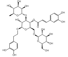 Echinacoside