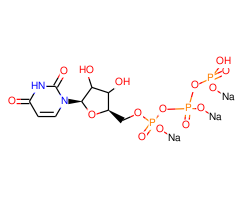 Uridine 5'-triphosphate trisodium salt hydrate