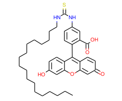 N-Octadecylfluorescein-5-thiourea