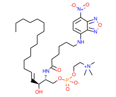 NBD C6-sphingomyelin