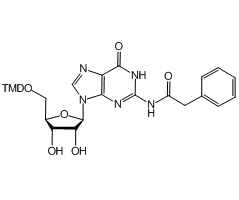 5'-O-DMT-N<sup>2</sup>-phenylacetylguanosine