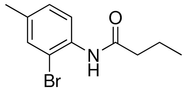 N-(2-BROMO-4-METHYL-PHENYL)-BUTYRAMIDE