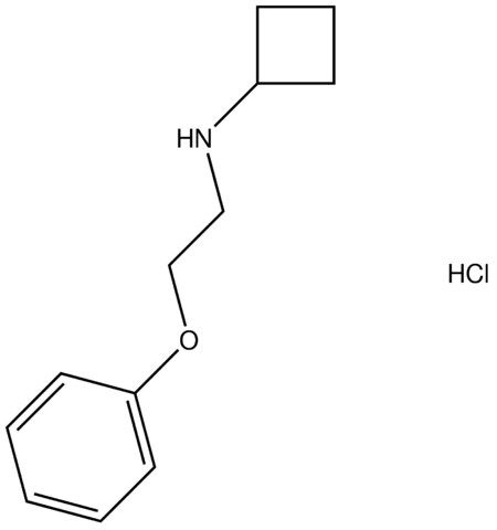 N-(2-phenoxyethyl)cyclobutanamine hydrochloride