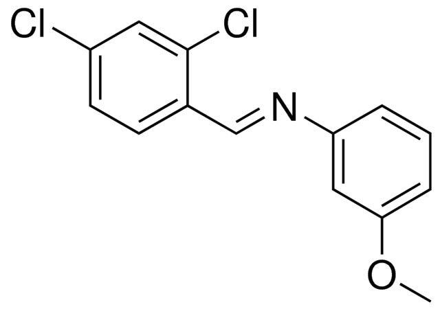 N-(2,4-DICHLOROBENZYLIDENE)-M-ANISIDINE