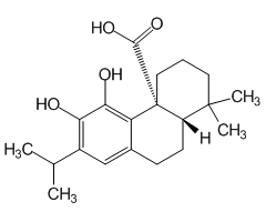 Carnosic Acid