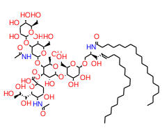 Monosialoganglioside GM1