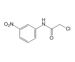 2-Chloro-3'-nitroacetanilide