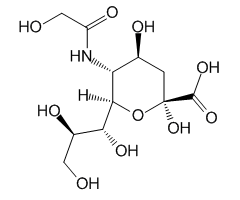 N-Glycolylneuraminic Acid