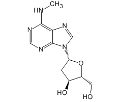 2'-Deoxy-N<sup>6</sup>-methyladenosine