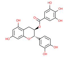 (-)-Catechin gallate