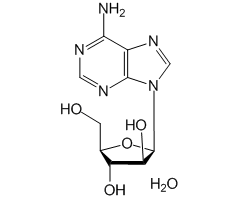 Vidarabine Monohydrate