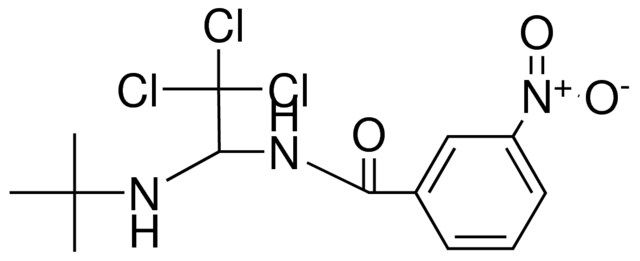 N-(1-TERT-BUTYLAMINO-2,2,2-TRICHLORO-ETHYL)-3-NITRO-BENZAMIDE