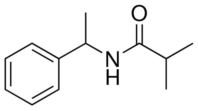 N-(1-PHENYL-ETHYL)-ISOBUTYRAMIDE